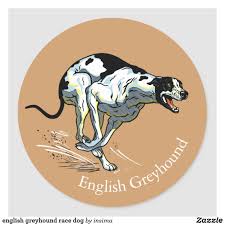 English Greyhound Race Dog Classic Round Sticker Zazzle Com Greyhounds Racing Greyhound Round Stickers