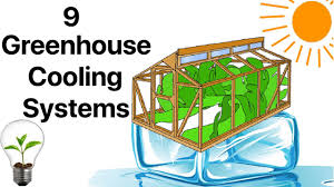 9 diy indoor greenhouses you can easily make. 9 Greenhouse Cooling Systems In Use Private And Commercial Youtube