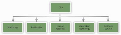 Organizational Structure Principles Of Management