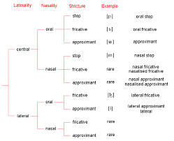 Consonants Manner Of Articulation How To Memorize Things Speech Phonetics