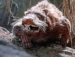 Those Self Important Scientists Warning About The Dangers Of The Plague Infected Giant Rats In America Need To Stay In Their Lane Weekly Humorist Giant kangaroo rat rodent nelson's kangaroo rat heermann's kangaroo rat, flea png clipart. plague infected giant rats