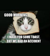 100 Funny Good Morning Memes Memes Of Good Morning Funny Good Morning Memes Morning Memes Good Morning Funny