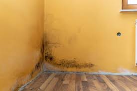 Maybe you would like to learn more about one of these? Toutes Les Astuces Anti Moisissures Pour Un Habitat Propre Et Sain