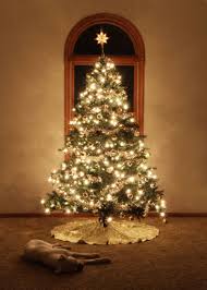Design Debate White Lights Vs Colorful Lights Colored Christmas Lights White Christmas Tree Lights White Christmas Lights