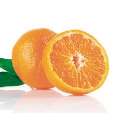 Image result for Citrus reticulata