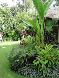 Tropical Patio Design Ideas Renovations Photos Tropische Garten Tropischer Garten Tropische Landschaftsgestaltung