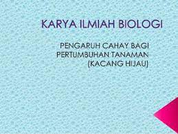 Posted in biologi tagged 7 langkah metode ilmiah, apa yang dilakukan pada tahapan metode ilmiah menyusun kerangka berpikir, contoh metode ilmiah, contoh metode ilmiah biologi, contoh metode ilmiah biologi kelas 10, contoh metode ilmiah fisika, contoh metode ilmiah kimia, contoh metode ilmiah penelitian, contoh metode ilmiah sederhana, contoh. Karya Ilmiah Biologi