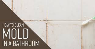 How To Clean Mold In A Bathroom Simple Green