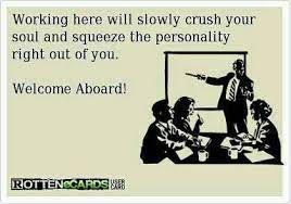 We hope you'll do some amazing works here! Friday Funnies Welcome Aboard Work Humor Funny Quotes Workplace Humor