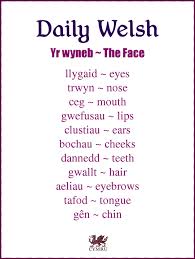 Welsh is the most widespread language in one of the most scarce language families. 46 Welsh Language Ideas Welsh Language Welsh Welsh Words