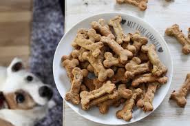 Schnelles Vanille Porridge Heavenlynn Healthy Rezept Hunde Leckerli Rezepte Hundefutter Selber Kochen Hunde Kekse Rezept