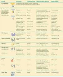 just a little study refresher endocrine system endocrine