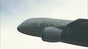 Image result for etihad airbus crash