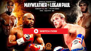 Logan paul is also six inches taller than mayweather, and has significantly greater reach. Pwziyriapxbrmm