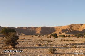 Abdallah Bn Abad Abnabad32 Twitter