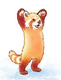 Epingle Par Irina Kuleshova Sur Korra Avatar Dessins Mignons Art De Panda Dessin Kawaii