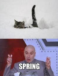 18 First Day Of Spring Memes So You Can Start The Season Off With A Laugh Funny Pictures Laugh Hilarious