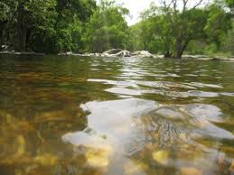 But often contain murky water (requires boiling to clean) Clean Water View At Polo Forest Picture Of Polo Forest Gujarat Tripadvisor