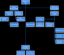 Image result for Pseudoeriosema longipes