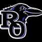 Avondale Girls JV Basketball @ Royal Oak event image