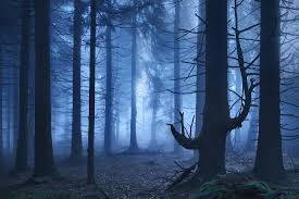 Blue Landscape Photos Capture The Beauty Of Nature S Blue Hour About 6% of these are fencing, trellis & gates, 5% are other garden ornaments & water features. blue landscape photos capture the