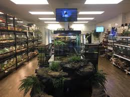 I have owned lizards for 20 years now, and this to eliminate the problem, you can talk to your vet or visit your local pet store. Exotic Pets Wichita Home Facebook