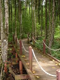 Ipoh world at han chin pet soo. 10 Must Visit Places In Perak Expatgo