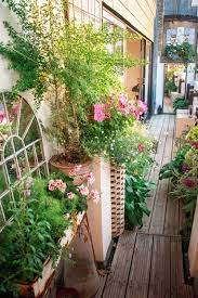 My Balcony Garden Beautiful Gardens Balcony Garden Garden