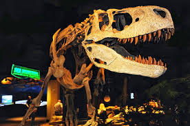 300 county road 265, centre 35960, alabama. 15 Top Rated Tourist Attractions In Alabama Planetware