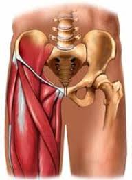 Distension Inguinal C D Mostoles