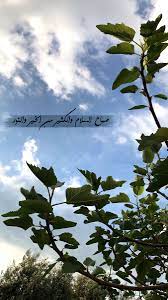 صباحيات sky photography nature sky photography sky aesthetic