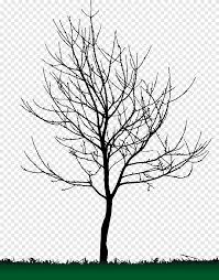 Maple tree silhouette from trees, nature, and plants. Tree Silhouette Maple Leaf Png Pngegg
