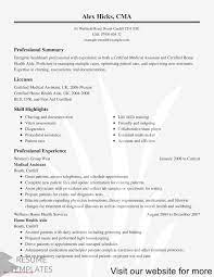Use this format unless there is a reason to use one of the other two. Resume 2020 Examples