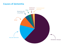 Dementia Causes Pie Chart Dementia Causes Vascular
