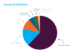 dementia causes pie chart dementia causes vascular