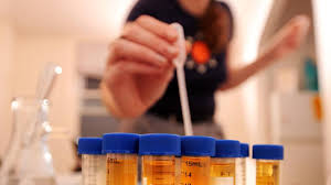 Use the dna sequences to identify possible identical twins and to determine which sections of dna code for skin color, eye color, and the presence or absence of spots. Application Of Dna Technology In The Administration Of Justice Problems And Prospects Ipleaders