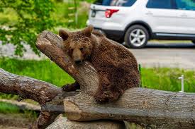 Labor Day Weekend 2020 In New Jersey Top Things To Do With Kids Mommy Poppins Things To Do With Kids In 2020 Autumn Activities For Kids Fall Fun Things To Do