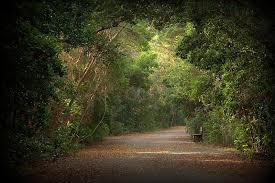 All other park facilities are closed. Pin On Wandering Florida