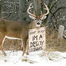 Haha A Decoy Deer Hunting Humor Funny Hunting Pics Hunting Humor