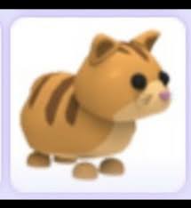 Check spelling or type a new query. 22 Adopt Me Pets Ideen Haustier Erinnerung Haustiere Tiere
