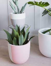 Stripe Concrete Plant Pots At Rose Grey Plant Pot Diy Clay Plant Pots Concrete Plant Pots