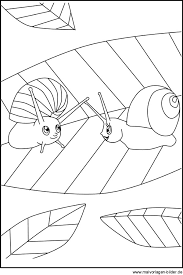 Schnecke Kostenlose Malvorlagen Und Window Color Bilder