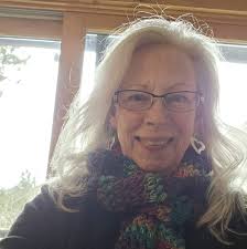 What are some premade picnic lunch box options in Estes Park for a day trip  to Rocky Mountain National Park?