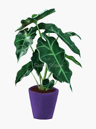 Black grey white brown beige red pink orange yellow ivory green blue purple gold silver multi clear copper. Kris Plant Gifts Merchandise Redbubble