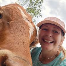 Recommendations for Franklinton vets and groomers?