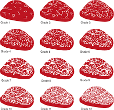 Wagyu Vs Kobe Simple Know How About Differentiation