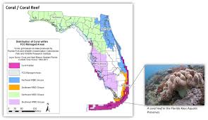 Maybe you would like to learn more about one of these? In House Graphic Map Of The Distribution Of Coral Reefs Within Fco Managed Areas Florida Department Of Environmental Protection
