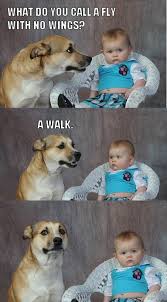 Dad Joke Dog Know Your Meme