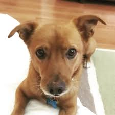 Aurora's 11th birthday celebration