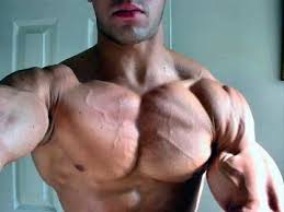Generally speaking, they protract the scapula and draw the humerus toward the midline. Targeting A Stubborn Chest Working The Pecs